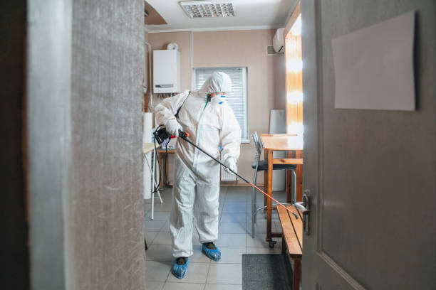 Best Residential Mold Inspection & Testing  in Beverly Hills, CA