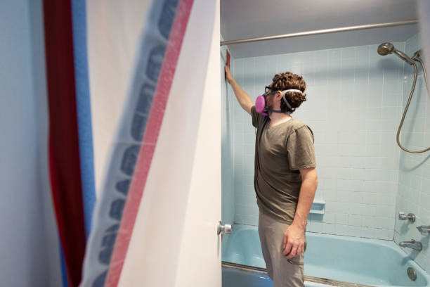 Dehumidification Services in Beverly Hills, CA