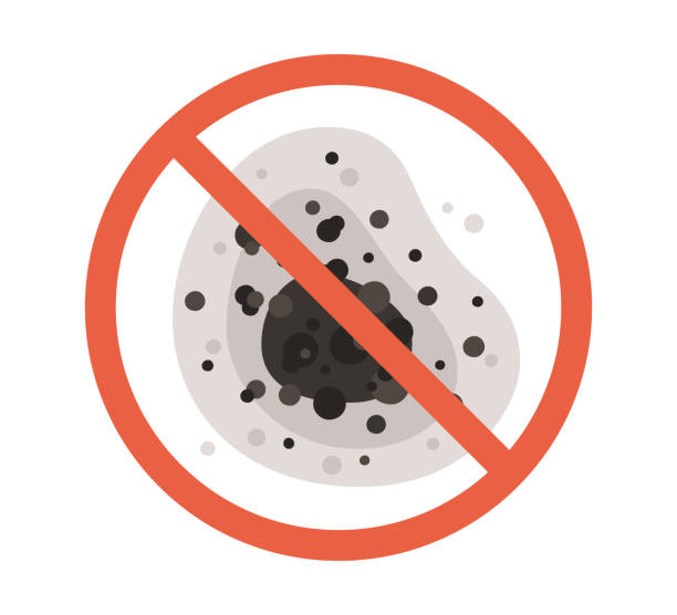 Best Mold Remediation for Healthcare Facilities  in Beverly Hills, CA