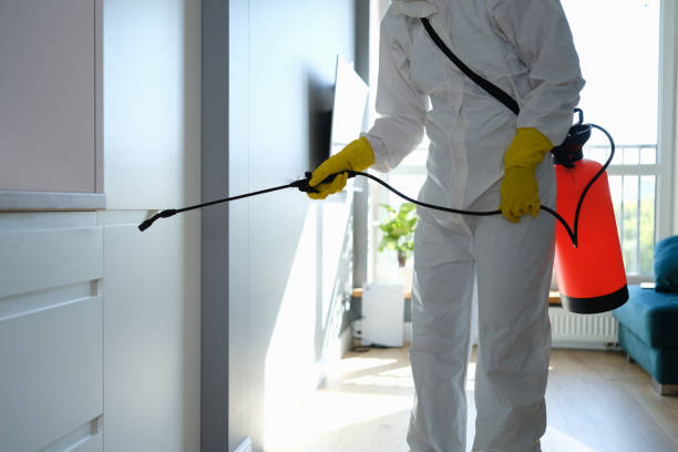 Professional Mold Removal in Beverly Hills, CA
